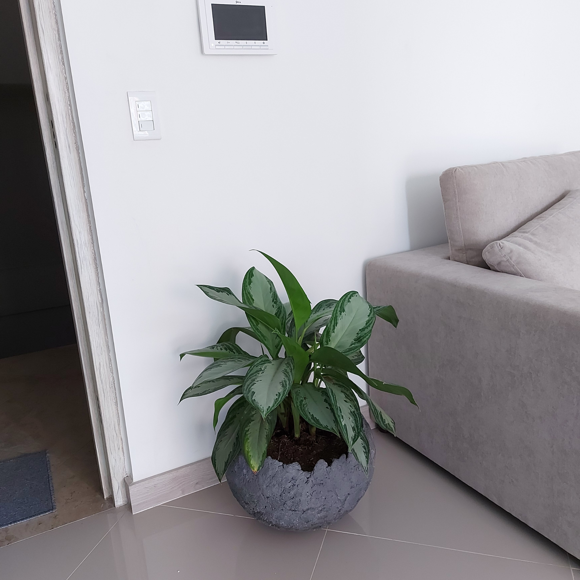 Maceta Redonda de Concreto