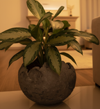 Maceta Redonda de Concreto