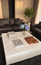 Mesa de Centro Mangle